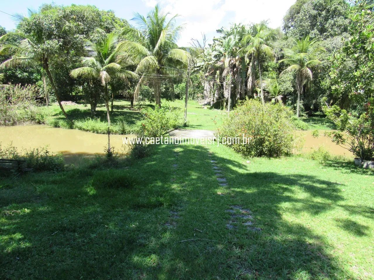 Sítio C/ Localização Nobre - Oportunidade - Foto 3