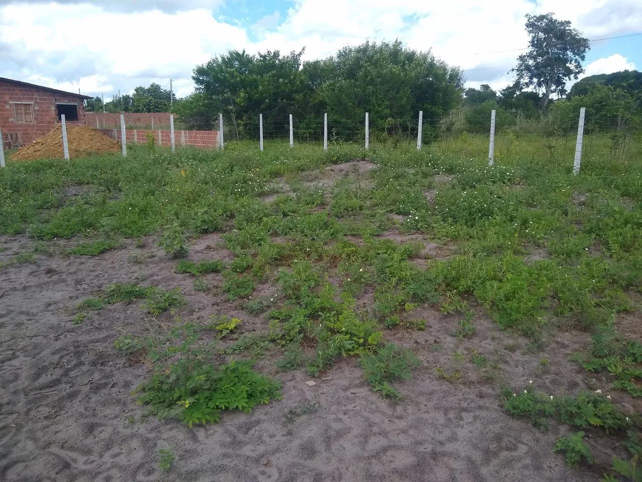 Terreno São Severino do Ramo - Paudalho. - Foto 4