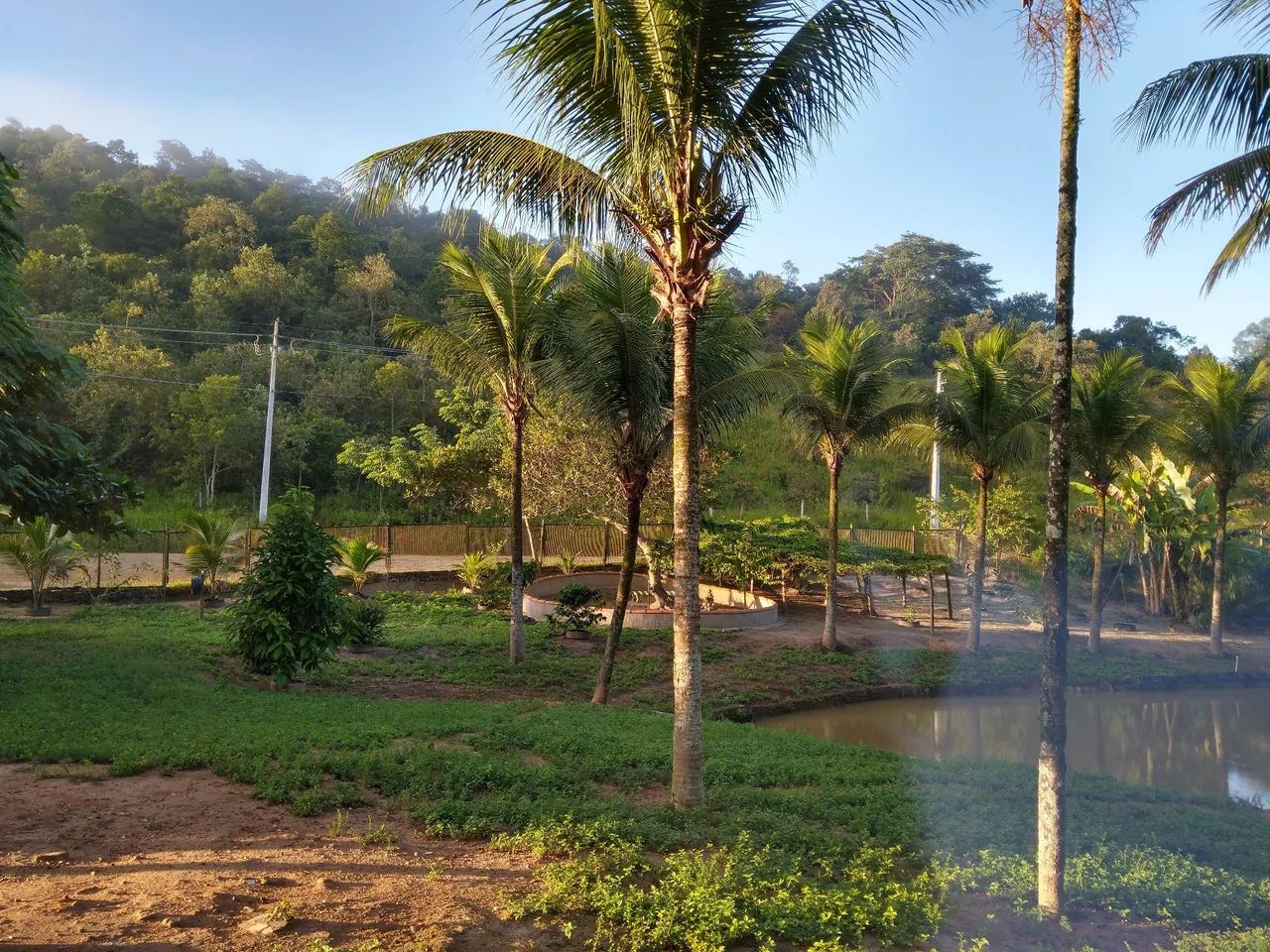 Vendo Sitio com ótima localização  - Foto 2