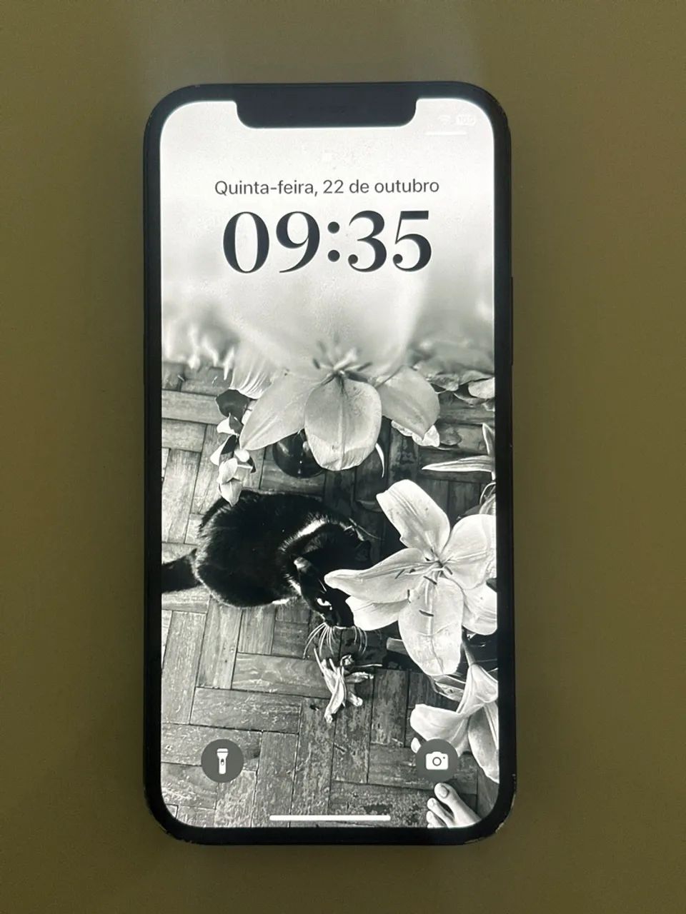Vendo IPhone 12 usado