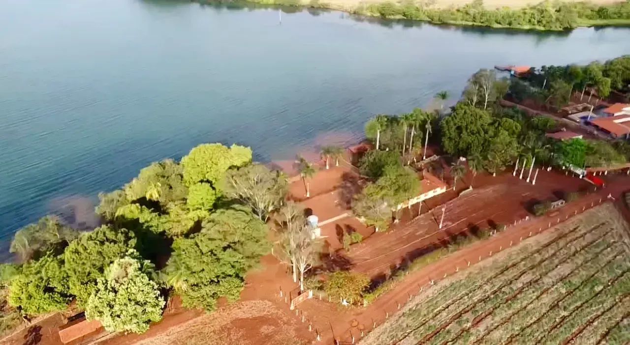Área Rural à venda - Triângulo Mineiro - Foto 3