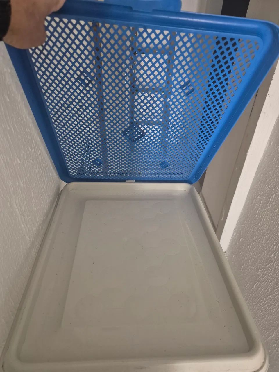 Sanitario para cachorro - Foto 2