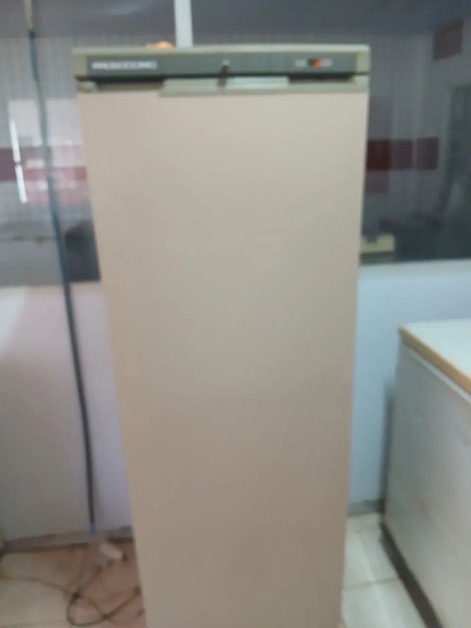 Freezer vertical