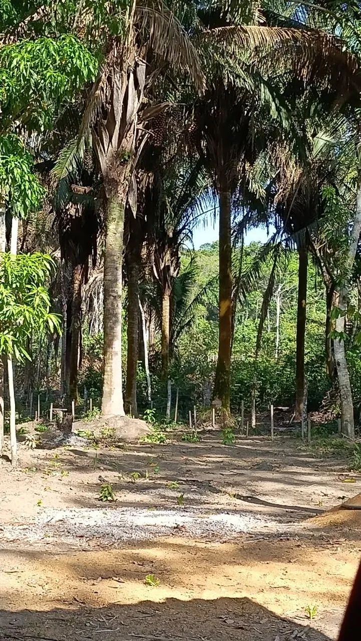 Vendo  - Foto 3