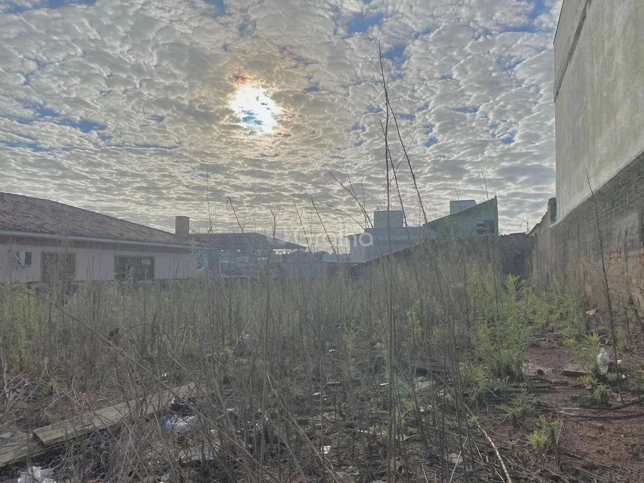 Terreno para Venda em Florianópolis, Capoeiras