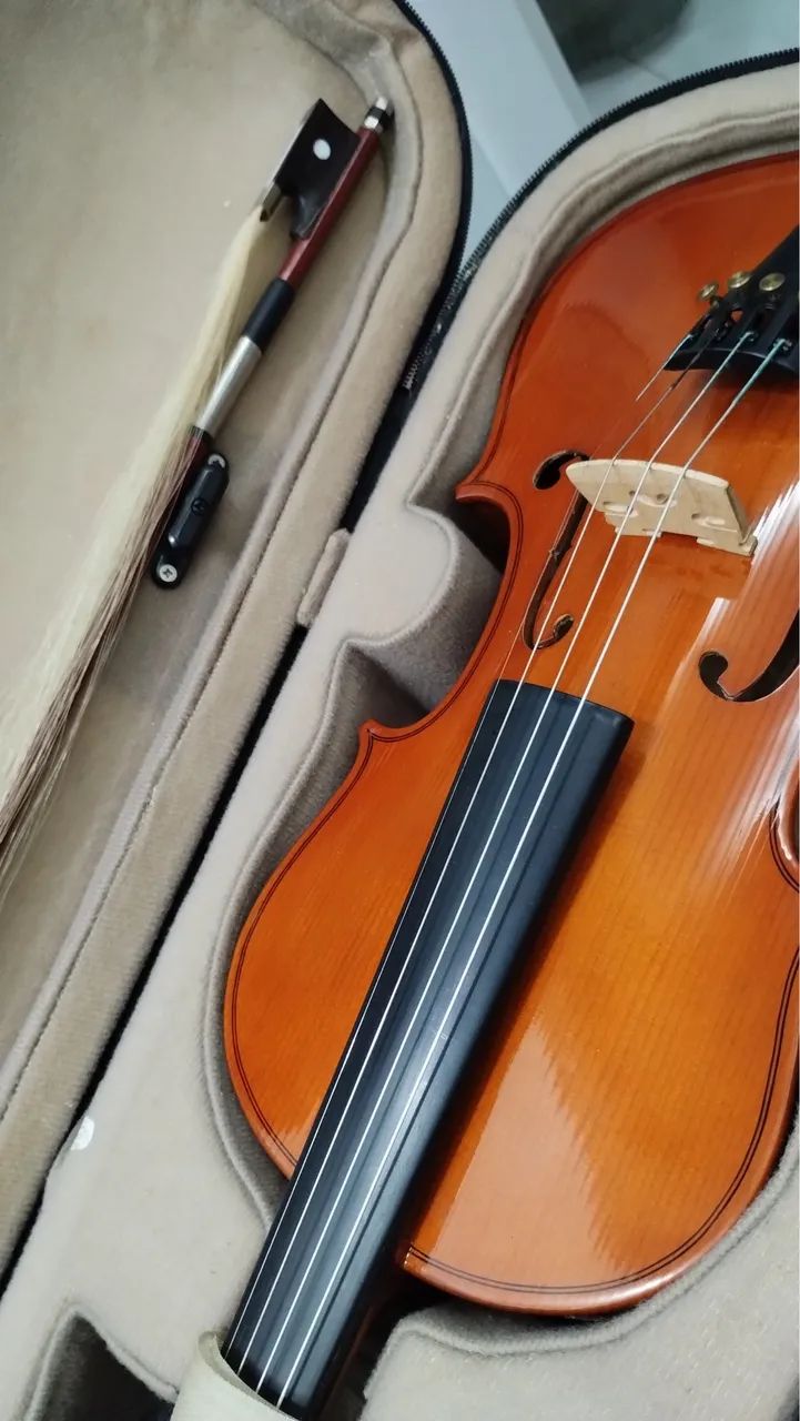 Violino 4x4