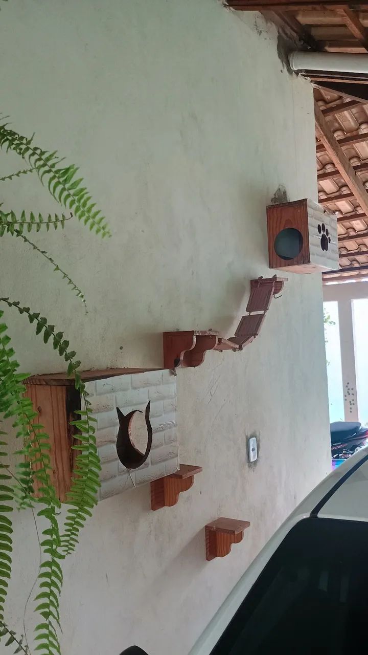 Parquinho para gatos - Foto 3