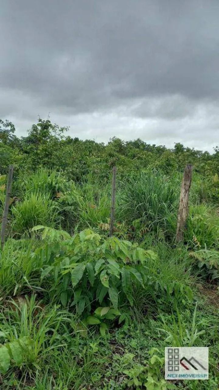 FAZENDA (324 Hectares), EM VARGEM GRANDE MT - Foto 2