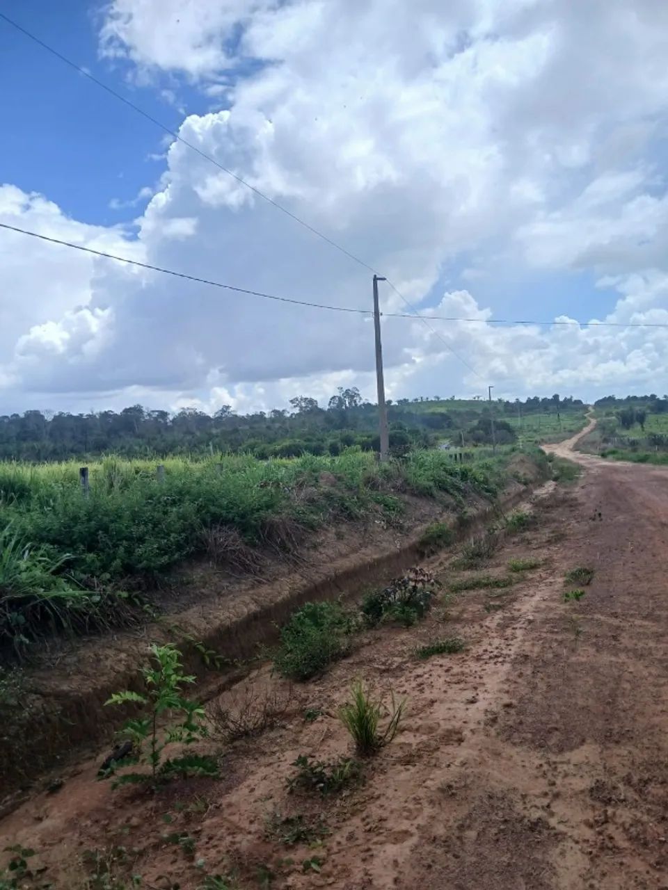 Terra pra sair logo - Foto 5