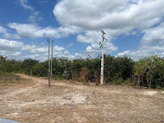 Sítio 24 Hectares - Urbano Santos - Foto 4