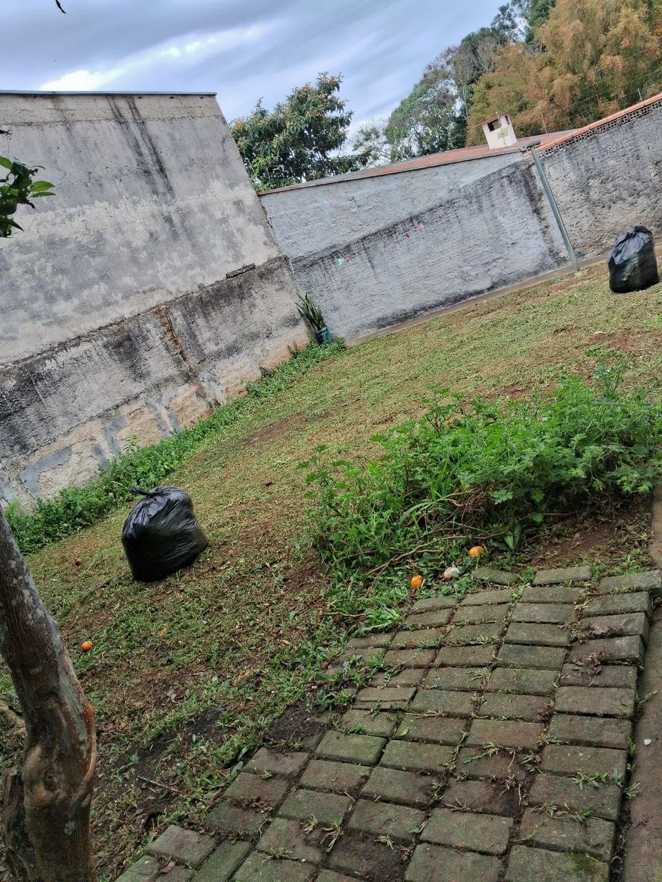 Jardineiro disponível  - Foto 3