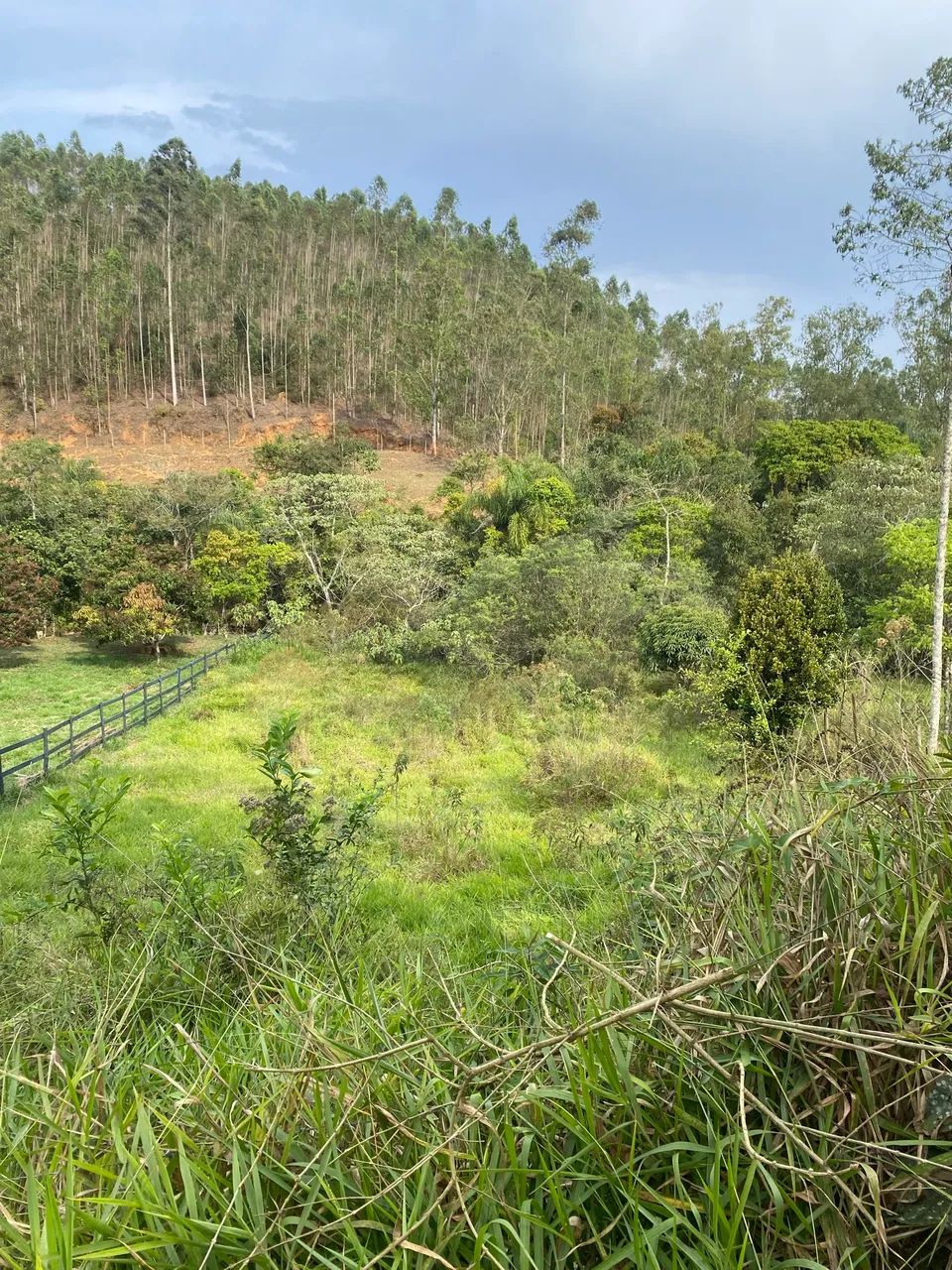 Lindo terreno com água  - Foto 4