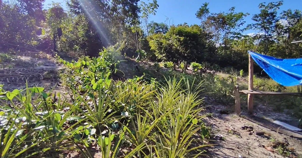 Lindo Igarapé em terreno plaino  - Foto 5