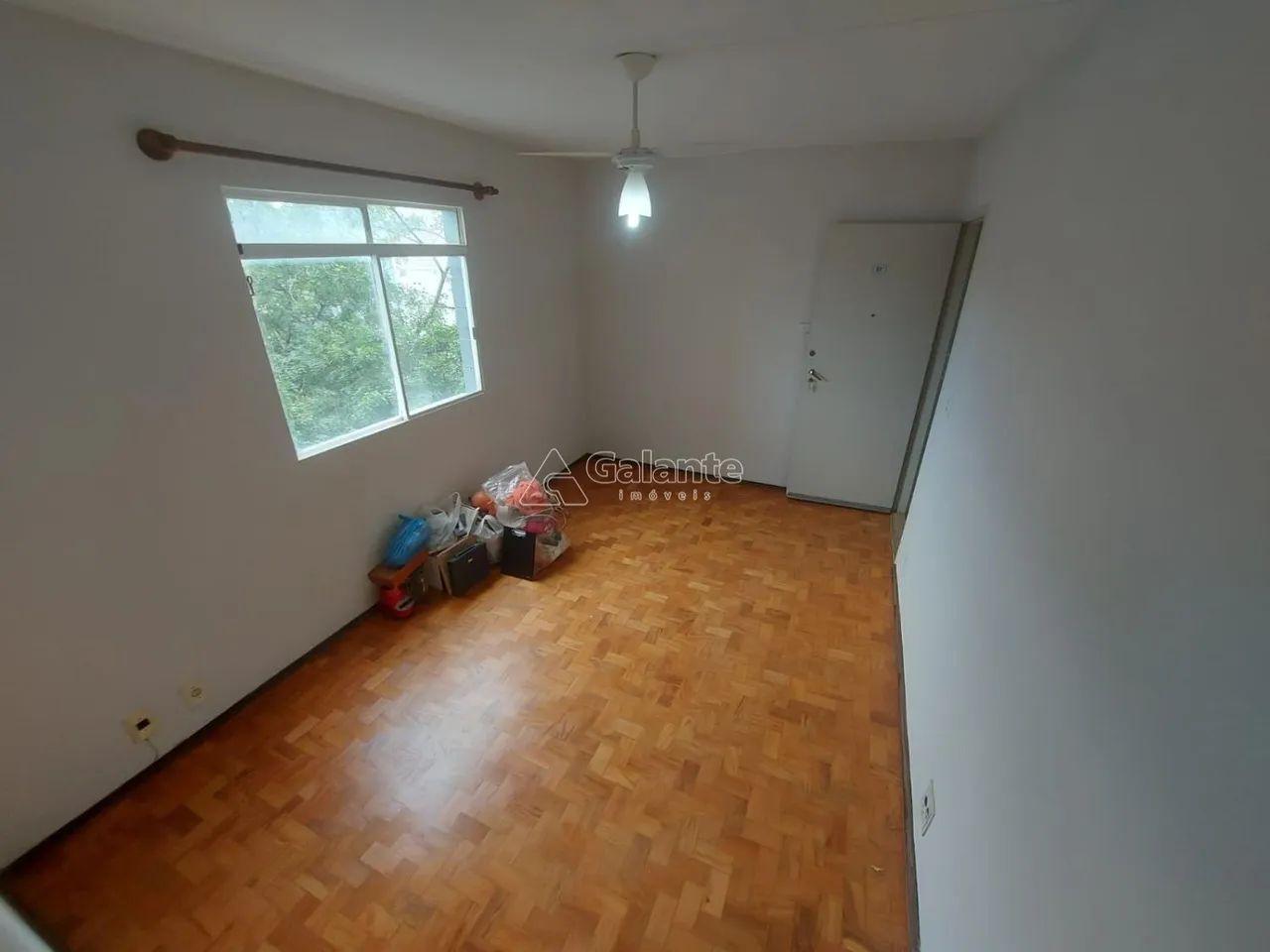 apartamento - Vila Mimosa - Campinas - Foto 2