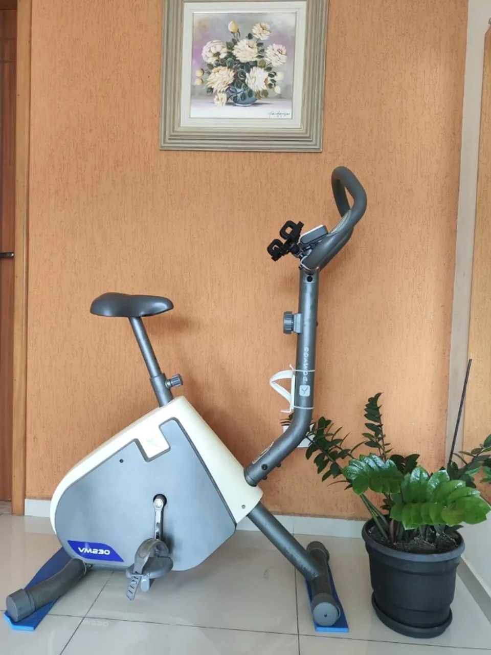 Bicicleta Ergométrica Domyos  