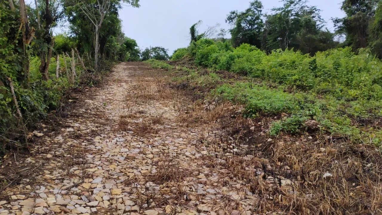 Terreno em Mulungu - Foto 2