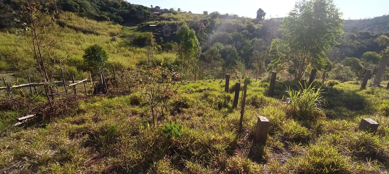 Terreno para chácara 1500 m2 - Foto 3