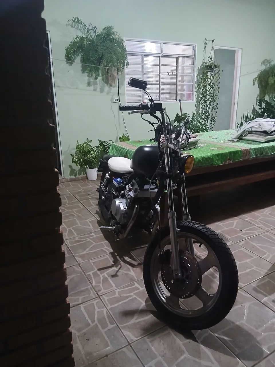 Shark 250
