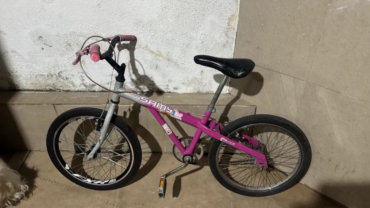 Bicicleta 