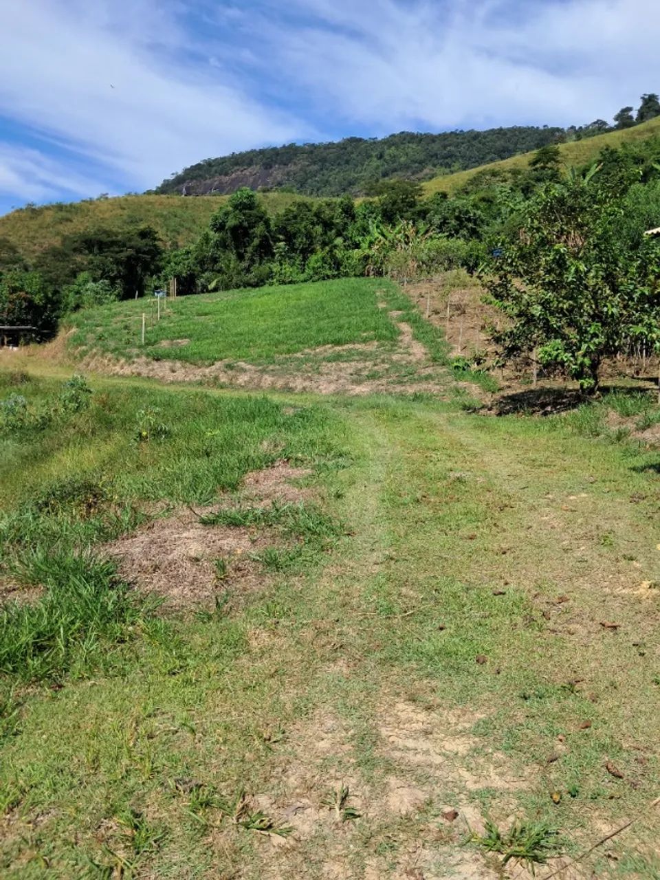 Terreno de 2000m2 - Foto 2