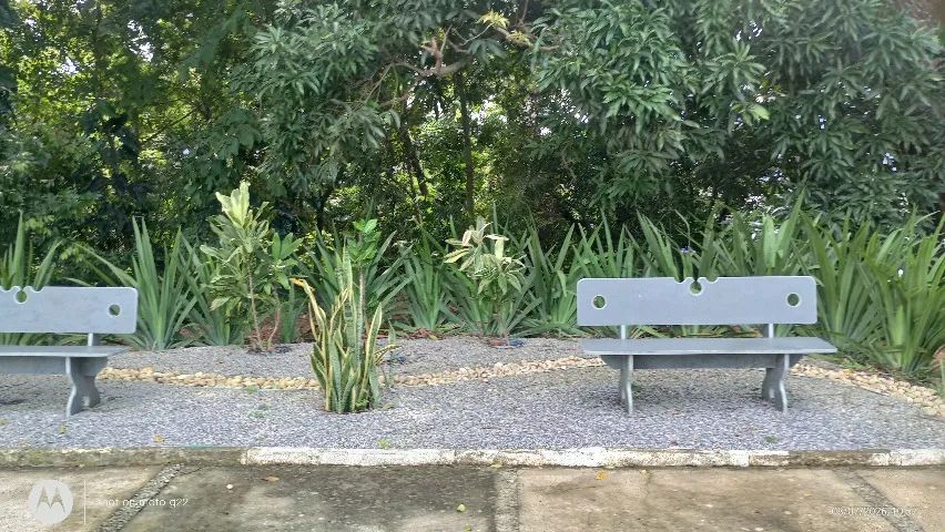 Venda de Jazigo - Foto 4