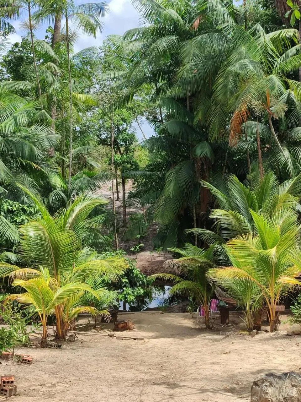 Vendo Sitio em Morros