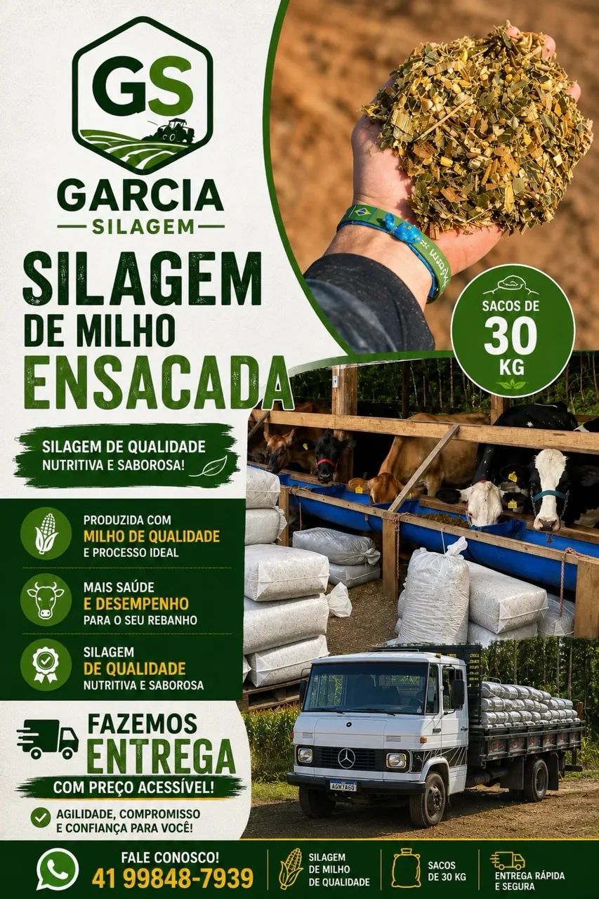 SILAGEM DE MILHO ENSACADA  - Foto 3