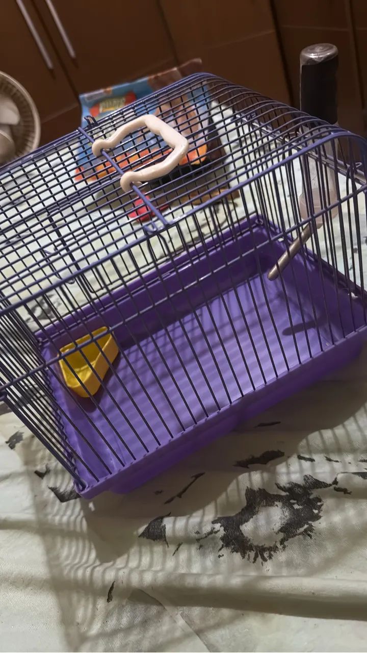 Gaiola de Hamster  - Foto 3