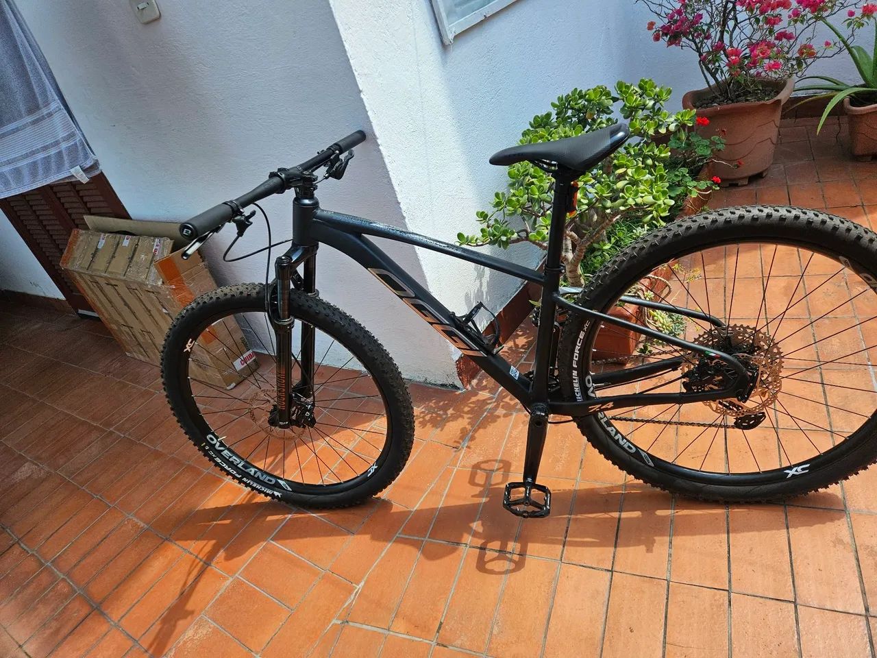 Mtb oggi bike