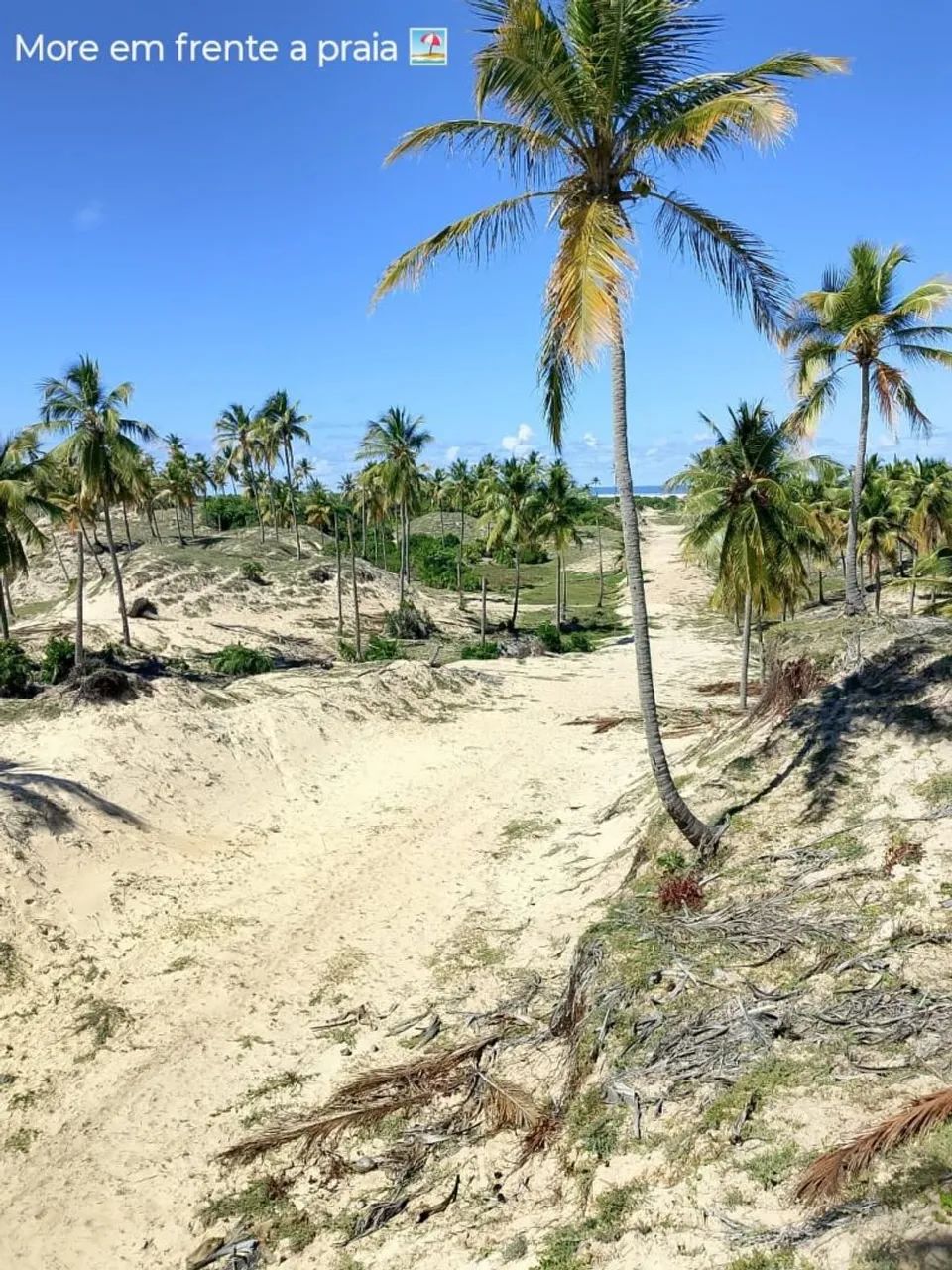 VENDO TERRENO COM 1KM DE DISTÂNCIA DA PRAIA E DUNAS DA CAUEIRA 