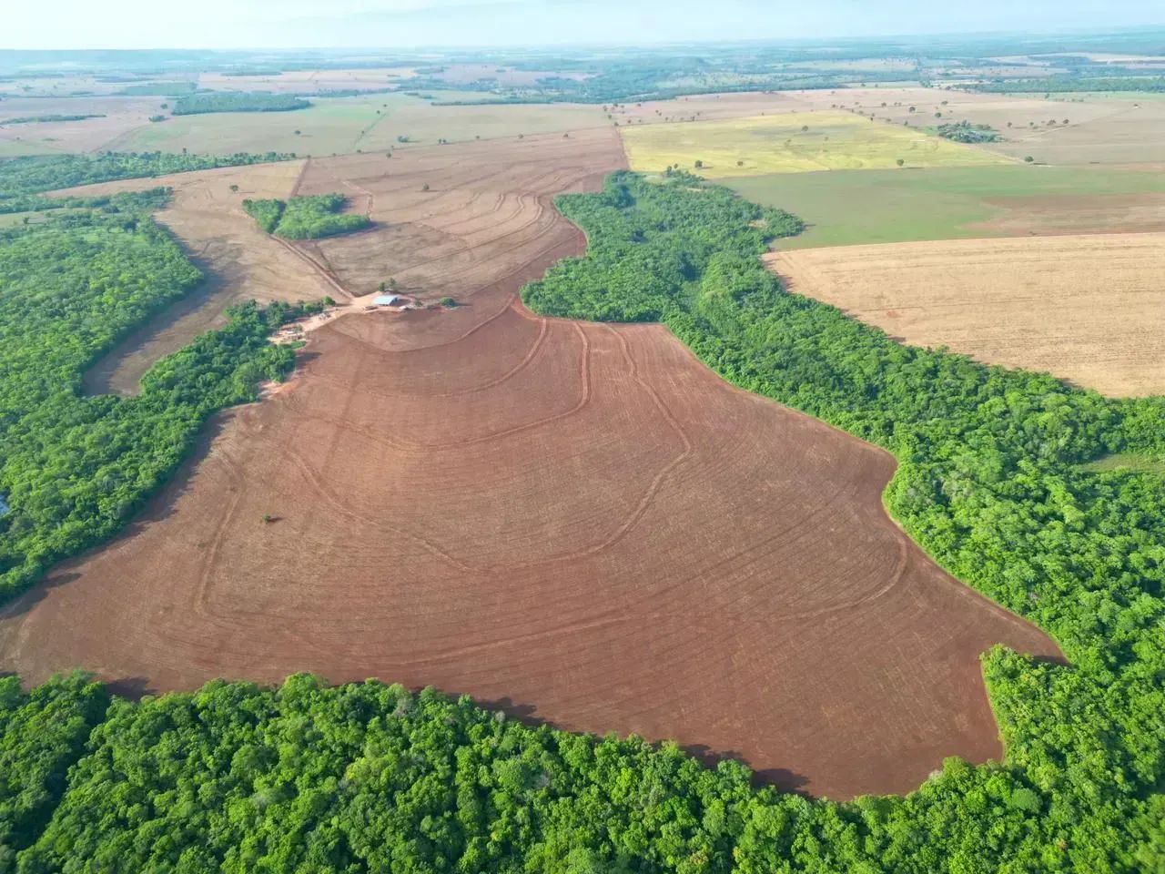 FAZENDA COM 230 HECTARES A VENDA EM ROCHEDO/MS - Foto 5