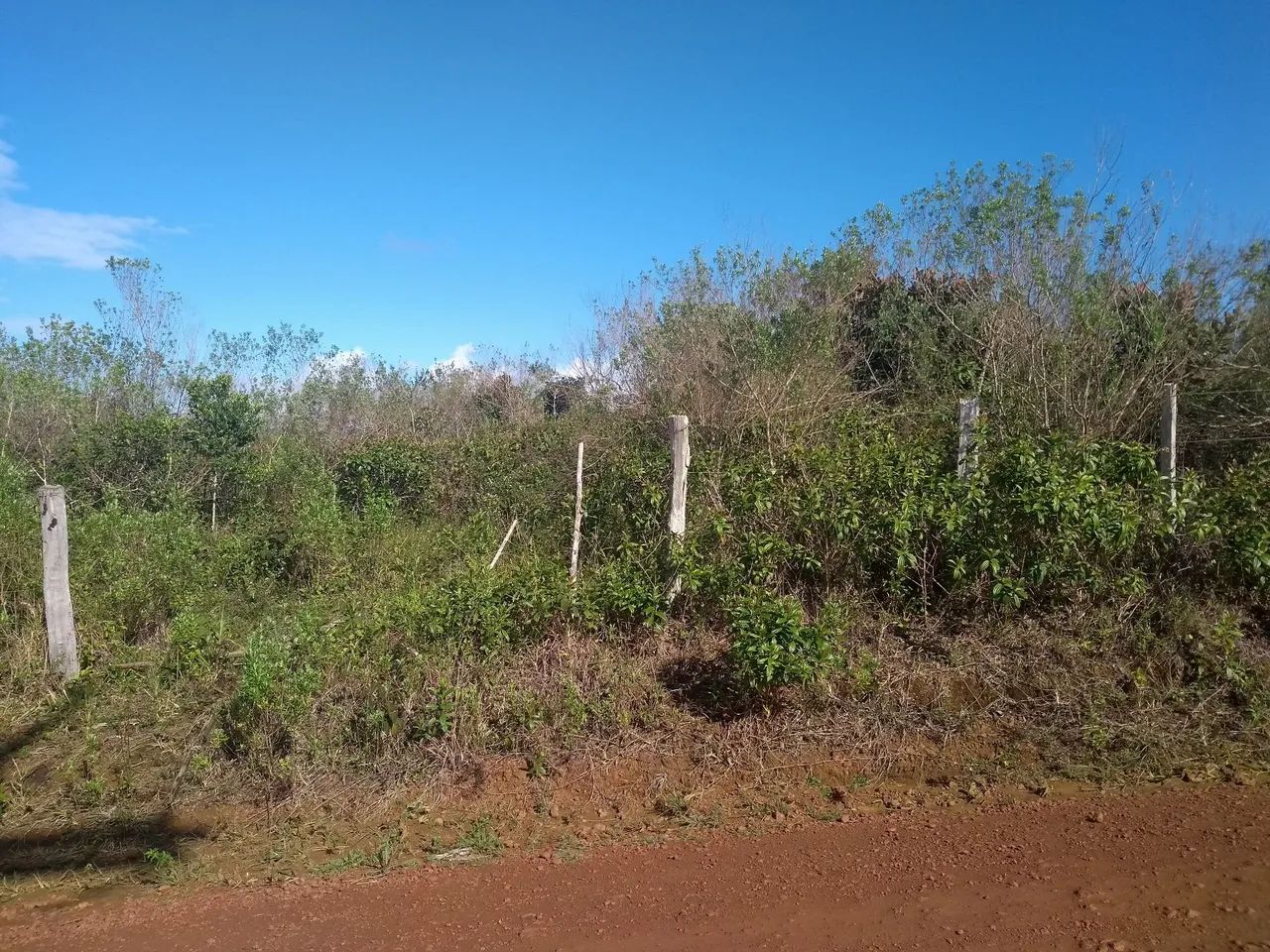 OPORTUNIDADE Sítio Recanto da Fé - Foto 4