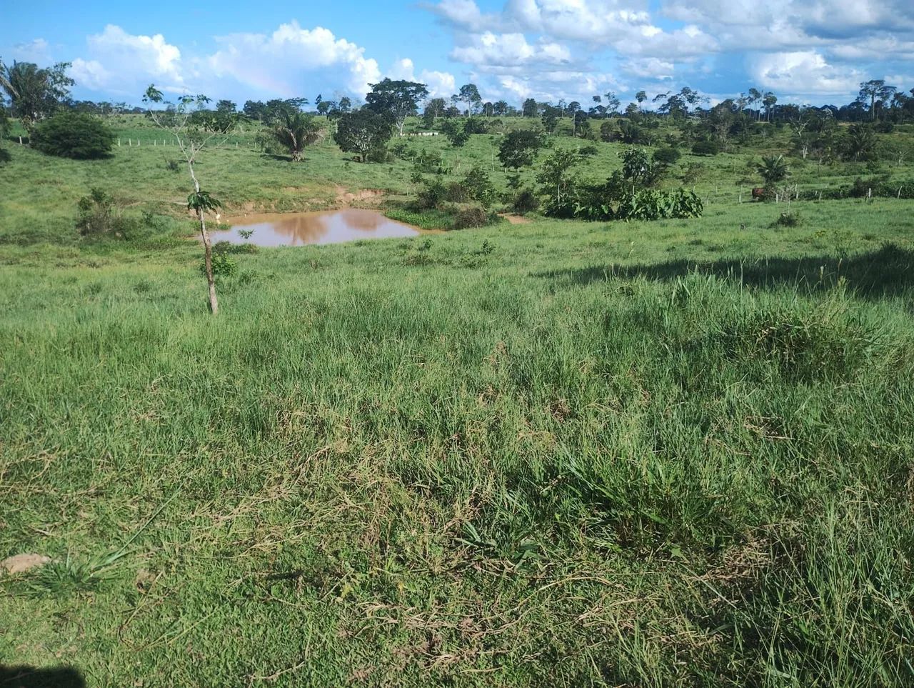 Terra a venda em Acrelândia/Ac - Foto 3