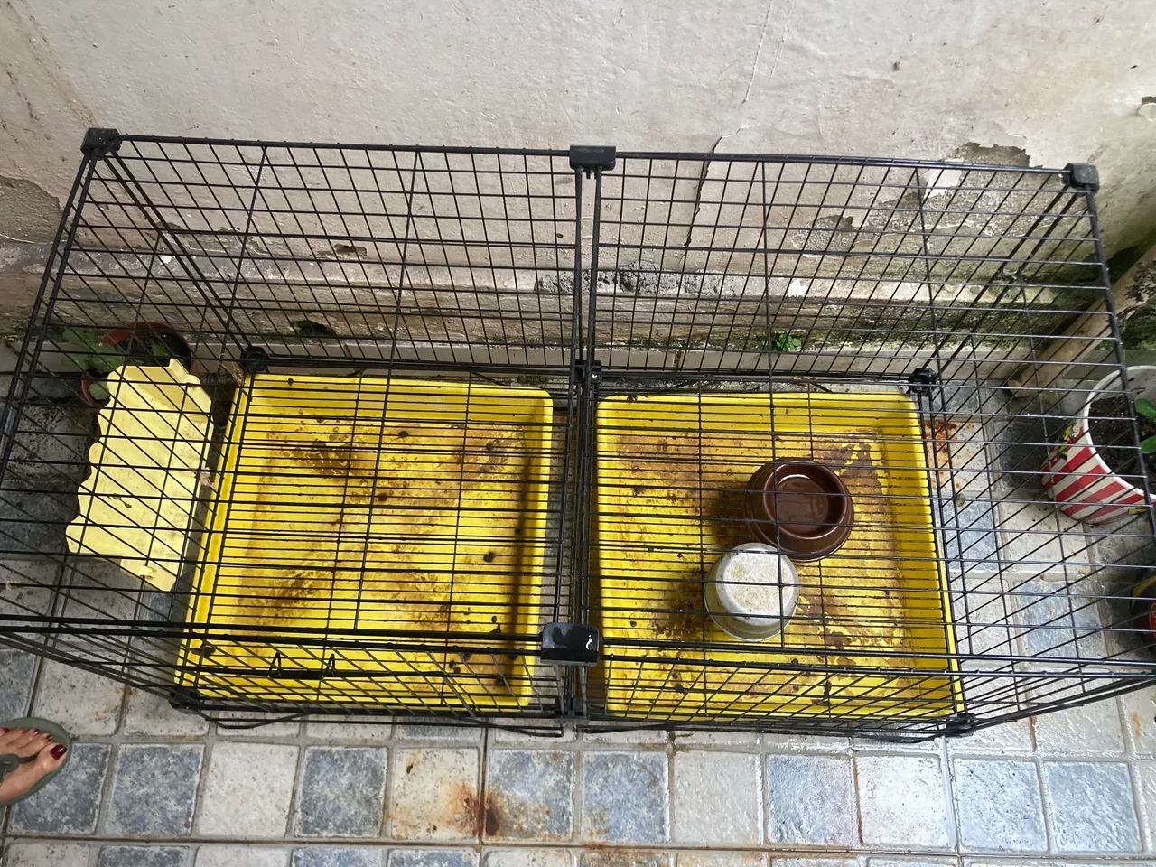 Gaiola 2x1 para coelhos, hamsters  - Foto 3