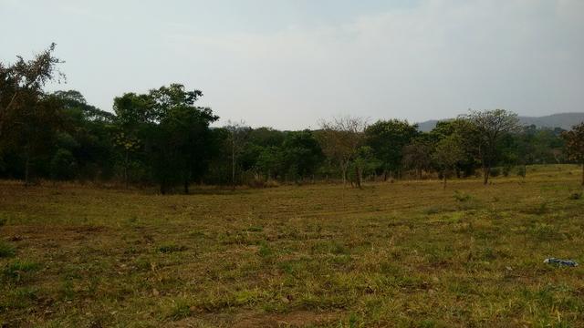 Terreno em Caldas Novas em Condomínio de Alto Padrão Palavra da Vida - Foto 2