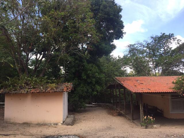 Granja pium - Foto 12