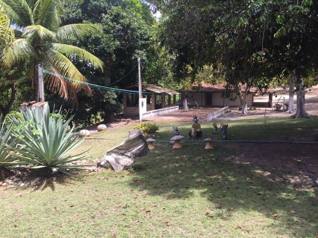 Granja pium - Foto 13