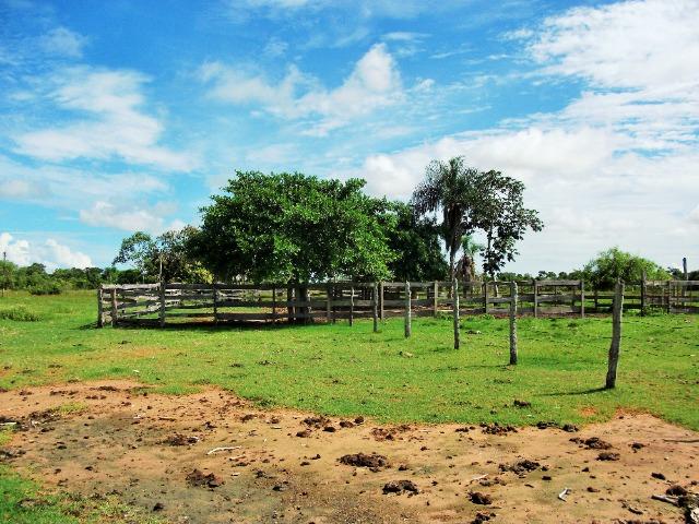 Excelente Fazenda no Pantanal do Mato Grosso do Sul - Foto 12