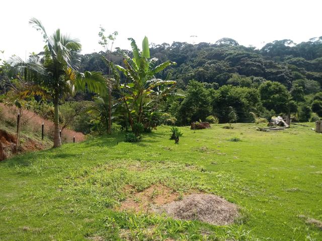 Chácara 30.000 metros em Domingos Martins - Foto 11
