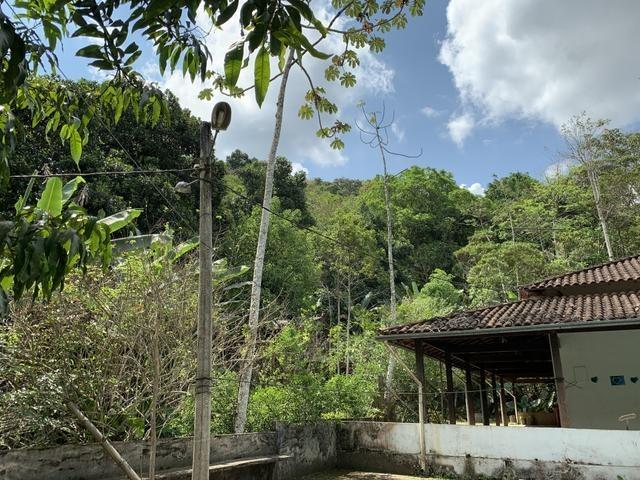 Sítio zona rural - Foto 11