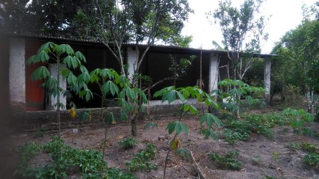 Excelente chácara medindo 26x133 em Atalaia - Foto 12