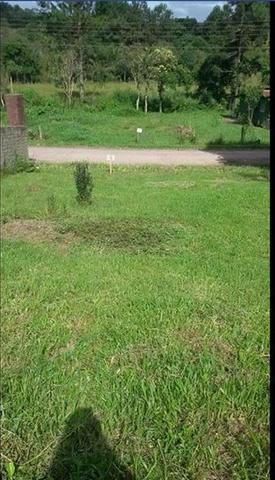 Terreno para Venda, São Bento do Sul / SC, bairro Serra Alta - Foto 2