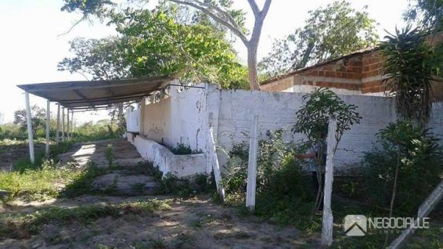 Chácara rural à venda. - Foto 2