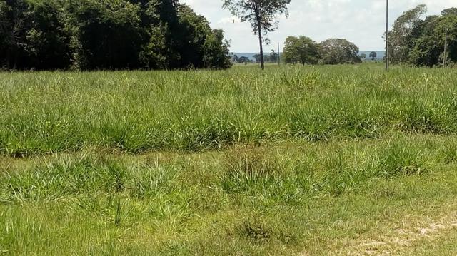 Fazenda Produtiva de Frango P/Frigor Projeto Aprovado - Nova Marilândia - 7 Km da Cidade - Foto 15