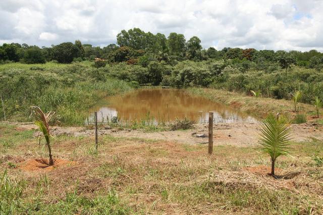 Sítio de 3 hectares 30.000m² por 100.000,00 - Foto 3