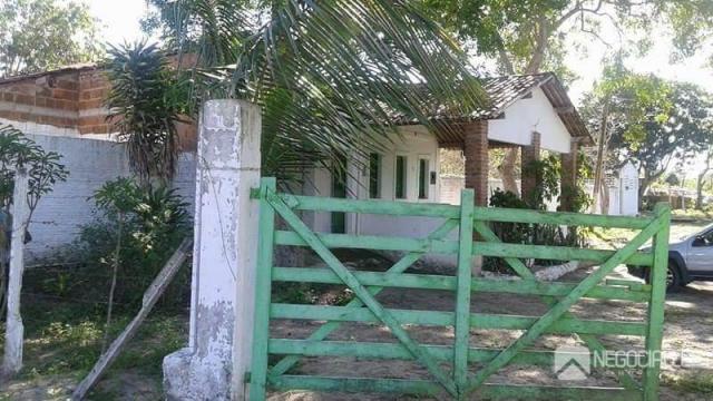 Chácara rural à venda. - Foto 3