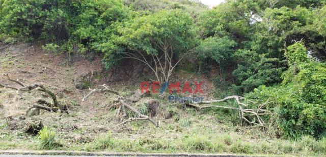 Terreno à venda, 600 m² por r$ 190.000 - malhado - ilhéus/ba - Foto 5
