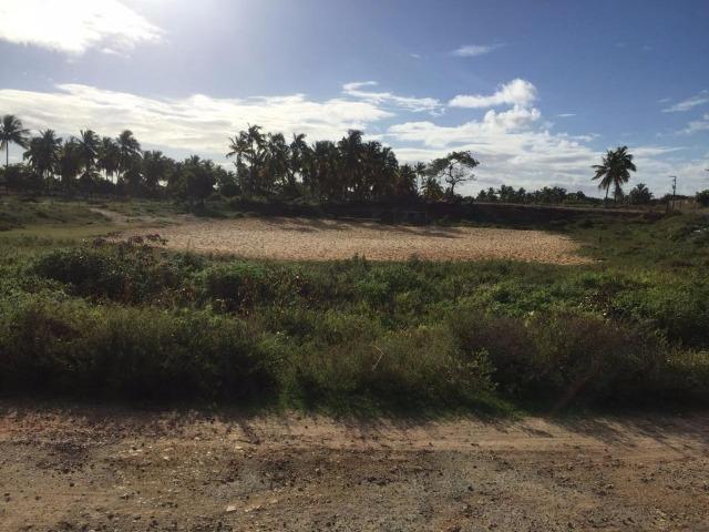 Terreno Residencial / Mosqueiro -TE0005 - Foto 5