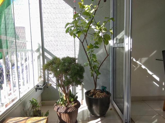 Apartamento à venda com 4 dormitórios em Buritis, Belo horizonte cod:1679 - Foto 15