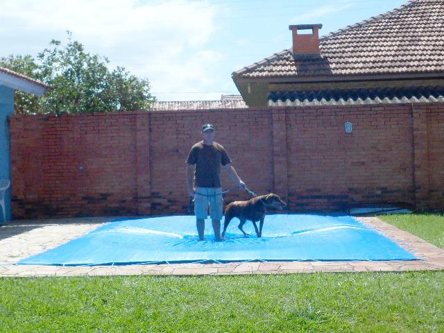 Capas para piscina direto de fábrica. Proteja crianças e animais. Capaflex